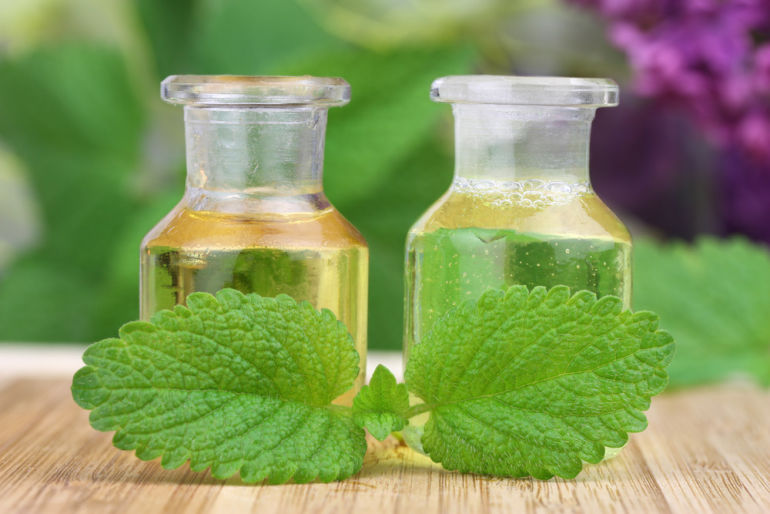 10 Healing Herbs You Can Grow At Home Hero Image