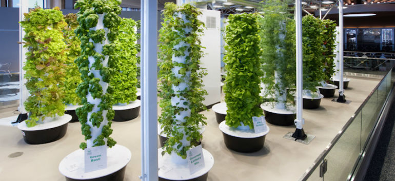 These 9 Urban Farms Will Change The Way You Look At Food Hero Image