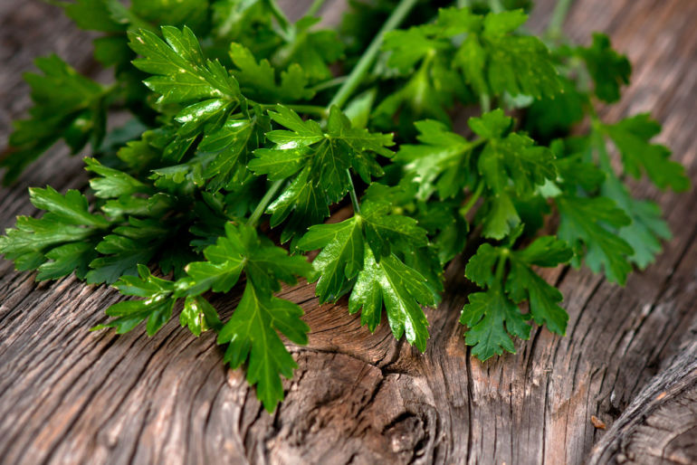 10 Healing Herbs You Can Grow At Home Hero Image