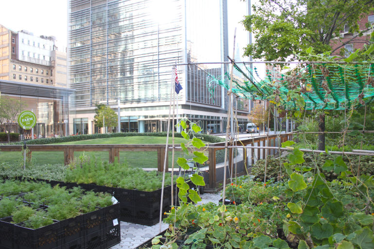 These 9 Urban Farms Will Change The Way You Look At Food Hero Image