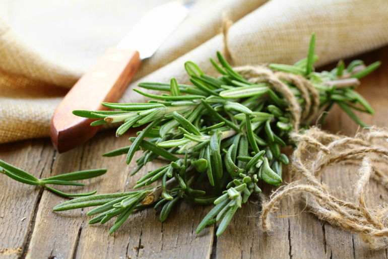 10 Healing Herbs You Can Grow At Home Hero Image