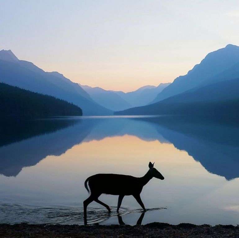 Happy National Park Service Day! 12 Of The Country's Most Beautiful Views Hero Image