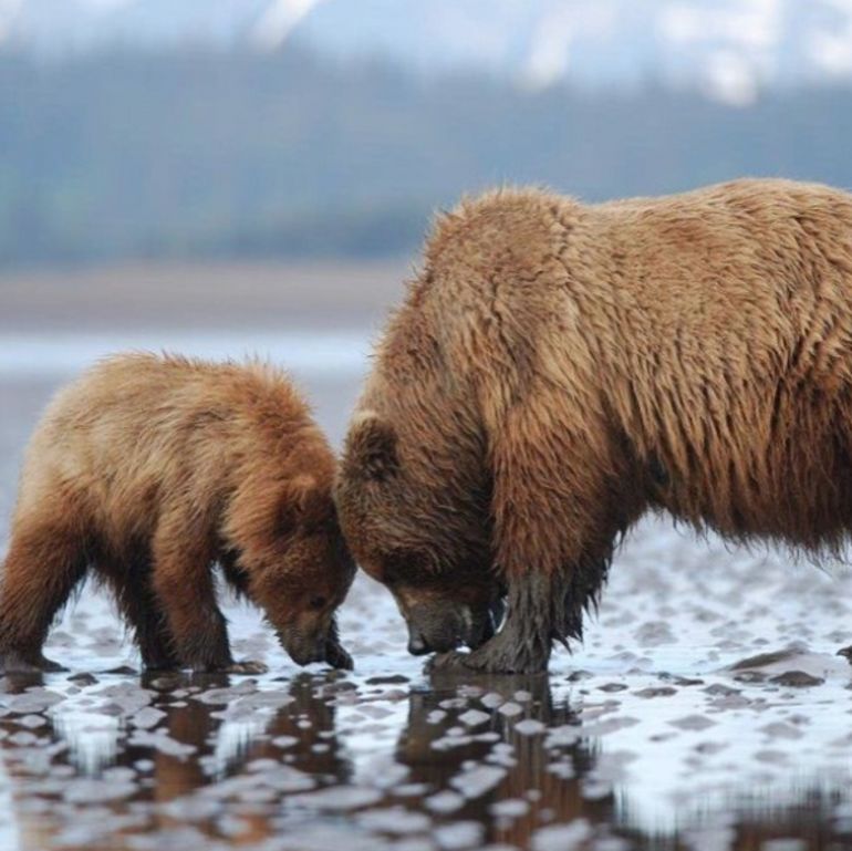 Happy National Park Service Day! 12 Of The Country's Most Beautiful Views Hero Image