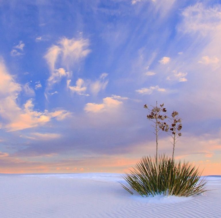Happy National Park Service Day! 12 Of The Country's Most Beautiful Views Hero Image