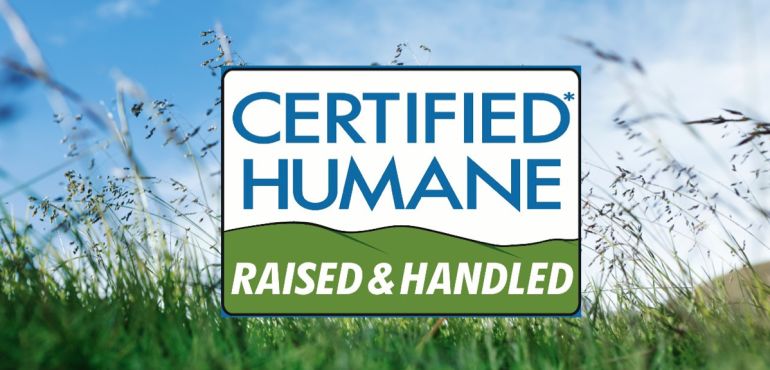 6 Common Food Labels + What They Really Mean Hero Image
