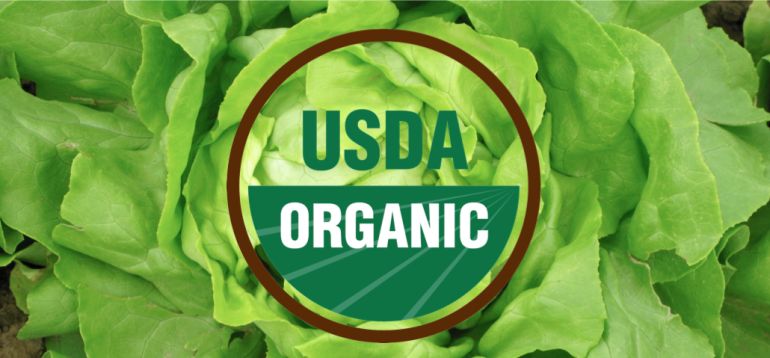 6 Common Food Labels + What They Really Mean Hero Image