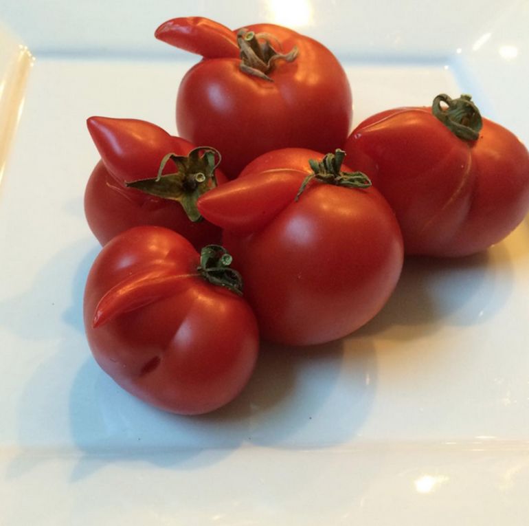 These "Ugly" Fruits + Veggies Are Actually The Cutest Things We've Ever Seen Hero Image