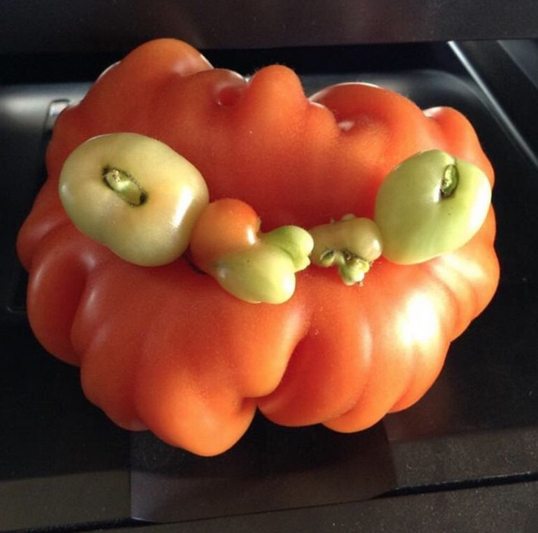 These "Ugly" Fruits + Veggies Are Actually The Cutest Things We've Ever Seen Hero Image