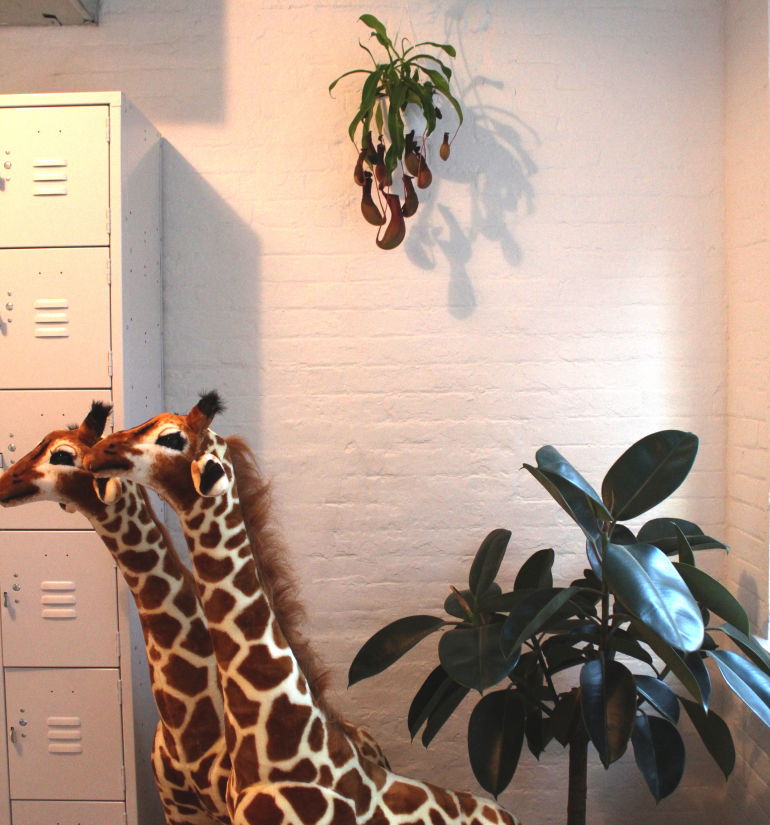 5 Ways To Make Your Space As Zen As This Breathtaking Yoga Studio Hero Image