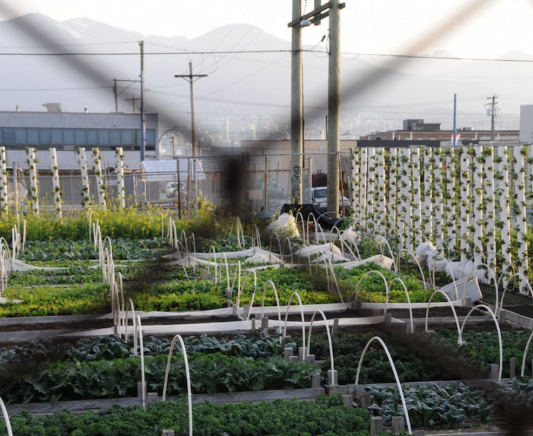 These 9 Urban Farms Will Change The Way You Look At Food Hero Image