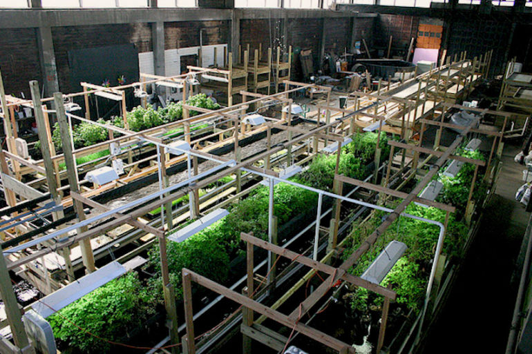 These 9 Urban Farms Will Change The Way You Look At Food Hero Image
