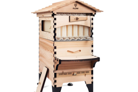 Flow Hive 2+ beehive