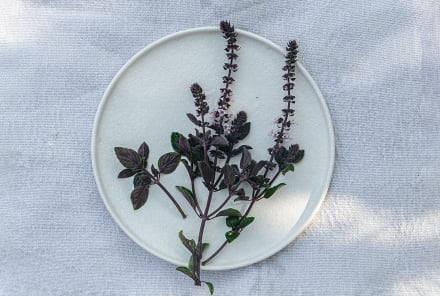 The Flavorful, Antioxidant-Packed Basil Type You'll Want To Toss On Everything