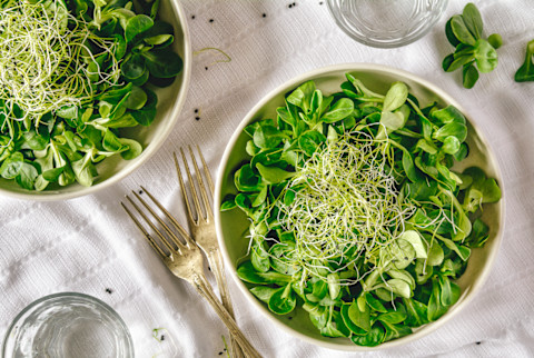 Overhead Photo of Spinach and Microgreens