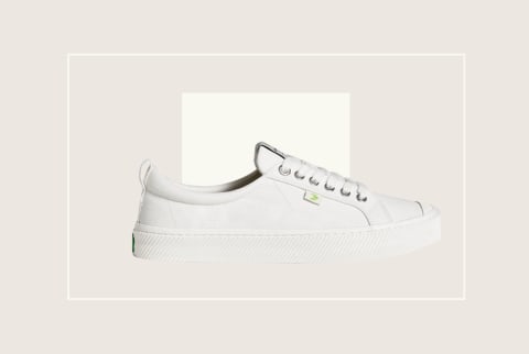 white sneaker on cream background