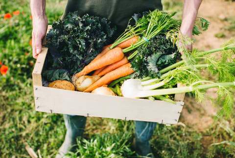 Someone Holding a Crate of Fresh Produce