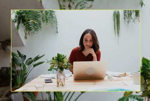 Businesswoman Working In Office Full Of Plants