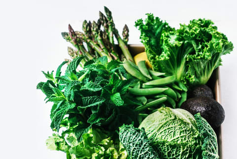 various types of green vegetables