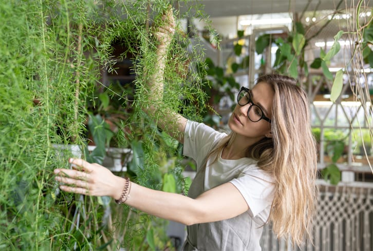 This Houseplant Looks Like A Fern But Is *Way* Easier To Take Care Of