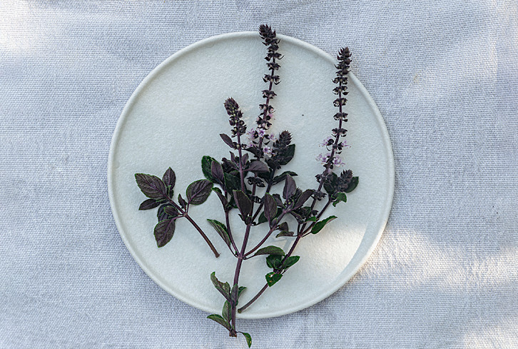 The Flavorful, Antioxidant-Packed Basil Type You'll Want To Toss On Everything