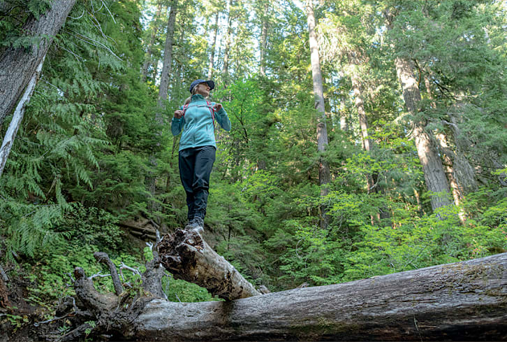 This Brand Set A Goal To Help Protect 1.7 Million Trees—Here's Why It's Important