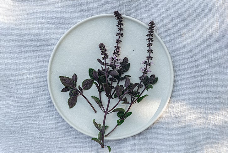 The Flavorful, Antioxidant-Packed Basil Type You'll Want To Toss On Everything