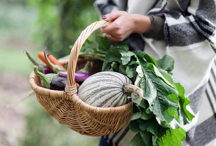 This App Has Helped Almost 1 Million People Waste Less Food