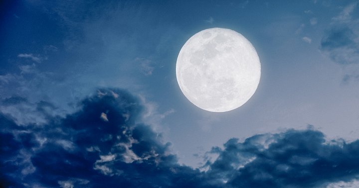 4 Zodiac signs who are likely to get a promotion in the coming week ...