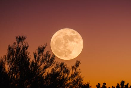 This Is The Only Guide To Full Moon Rituals You'll Ever Need