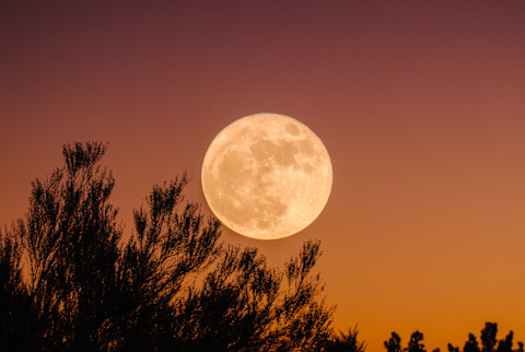 Full Moon Against Orange Sky
