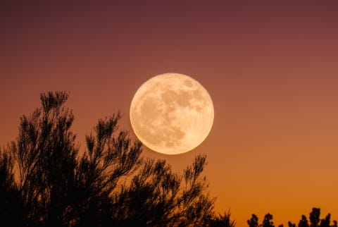 Full Moon Against Orange Sky
