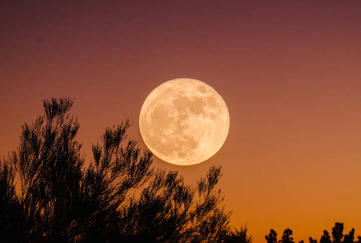 There's A Full Moon On The Horizon — Here's What You Need To Know