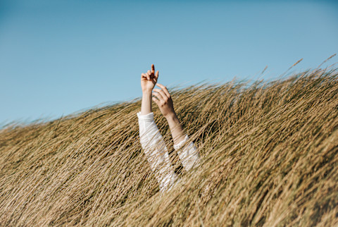 Two arms outstretched in grassland Two arms outstretched in grassland