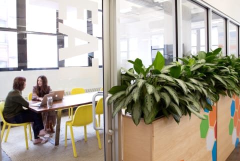 meeting room in an office with greenery