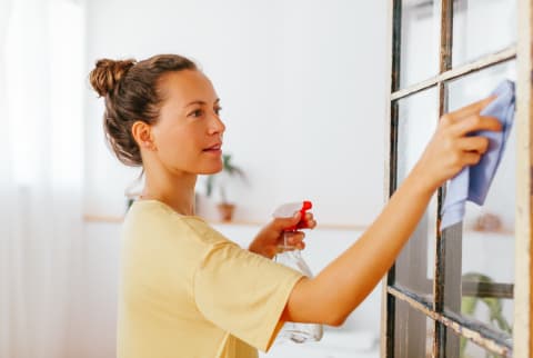 Woman Cleaning Her Home