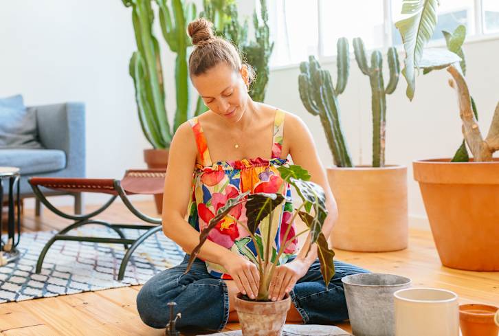 The Telltale Signs Your Houseplant Needs A Bigger Pot ASAP