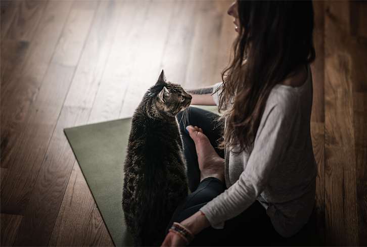 This Is The Year Your Resolutions Stick — 3 Herbs For Foundational Support