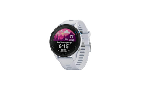 garmin forerunner 255