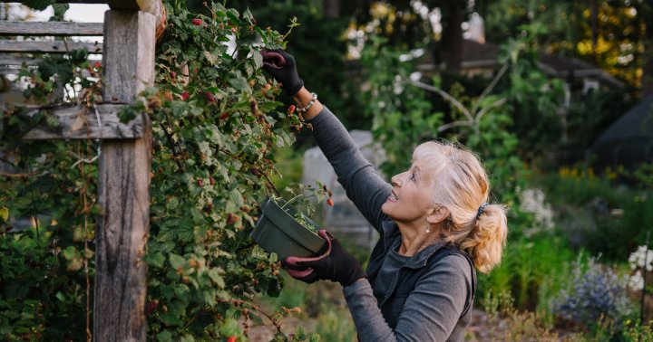Starting A Garden This Year? This Is The Most Important Tool You'll Need