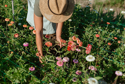 Read article: Is This The Reason Why Spending Time Outdoors Improves Your Well-Being?