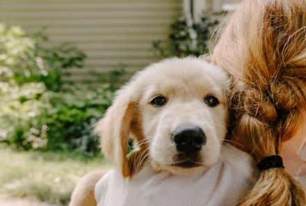 Kids Who Have Dogs Are 74% More Likely To Have This Social Skill