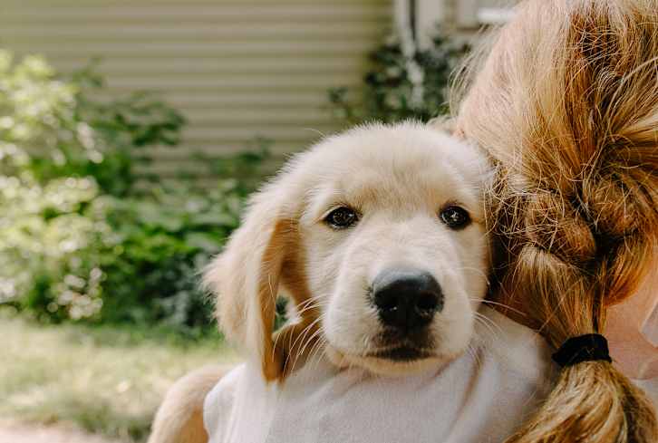 Kids Who Have Dogs Are 74% More Likely To Have This Social Skill