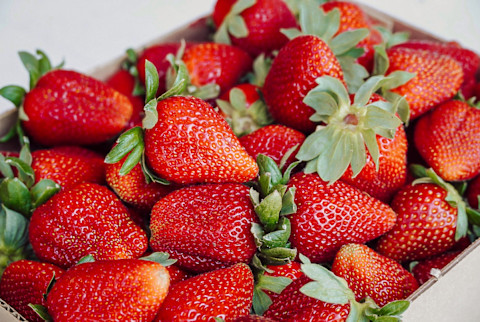 Batch of Fresh Strawberries Batch of Fresh Strawberries