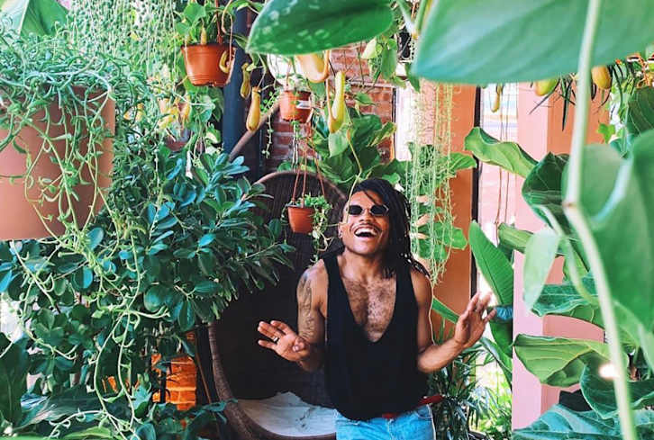 A Foolproof Trick For Finding The Best Spot In Your Home For Plants