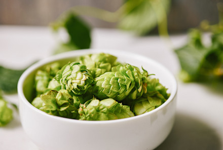 The Ingredient That Gives Beer Its Flavor Is Also A+ For Immune Health