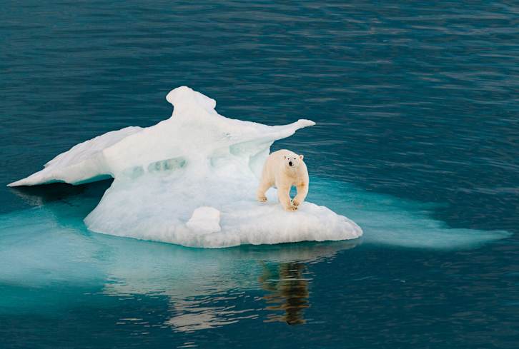 Last Year Was The Second Warmest Since 1880, According To NASA & NOAA