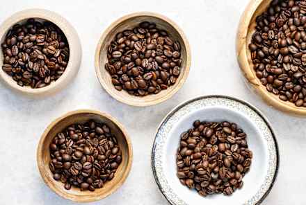 Are Coffee Grounds Good For Plants?Here's What The Experts Say