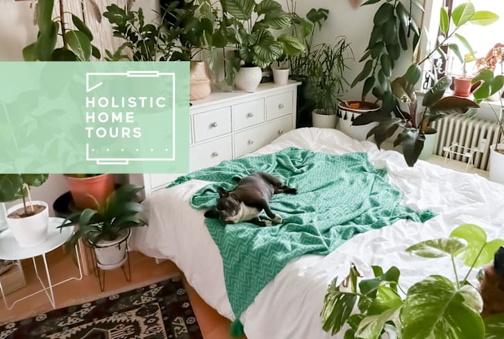 Hanging Monsteras & A 45-Year-Old Cactus Make This Urban Jungle One Of A Kind