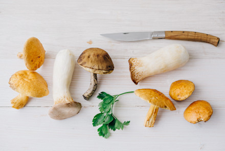 Read article: This Common Food Compound May Have Benefits Beyond What We Expect Read article: This Common Food Compound May Have Benefits Beyond What We Expect