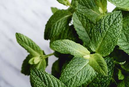 Cool Chocolate Mint Chip Shake